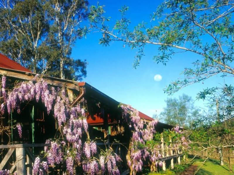 Cedar Creek Cottages Millfield Exterior photo